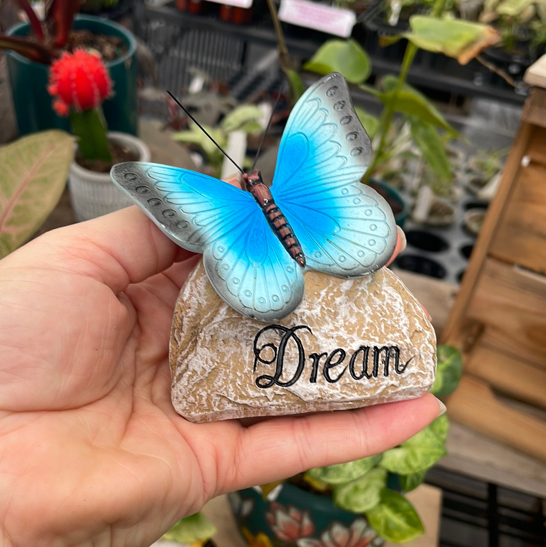 Dream - Blue Butterfly